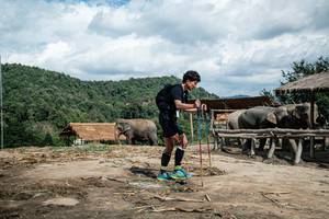 BIB: 
                            <button type="button" onclick="openModal(22423173)" class="btn btn-primary btn-sm float-right btn-popup" data-toggle="modal" data-target=".modal-high-quality">
                        <i class="fas fa-shopping-cart"></i> Add to Cart
                    </button>
                                            <button type="button" onclick="isThisMe(22423173, true)" class="btn btn-success btn-sm float-right btn-popup btn-isme hidden" data-toggle="tooltip" data-placement="bottom" title="นี่คือรูปของคุณใช่ไหม คลิกที่นี่เพื่อเอาเข้าอัลบั้ม">
                        <i class="fas fa-plus"></i> Add to album
                    </button>
                    <button type="button" onclick="isThisMe(22423173, false)" class="btn btn-warning btn-sm float-right btn-popup btn-isnotme hidden">
                        <i class="fas fa-ban"></i> Remove from album
                    </button>